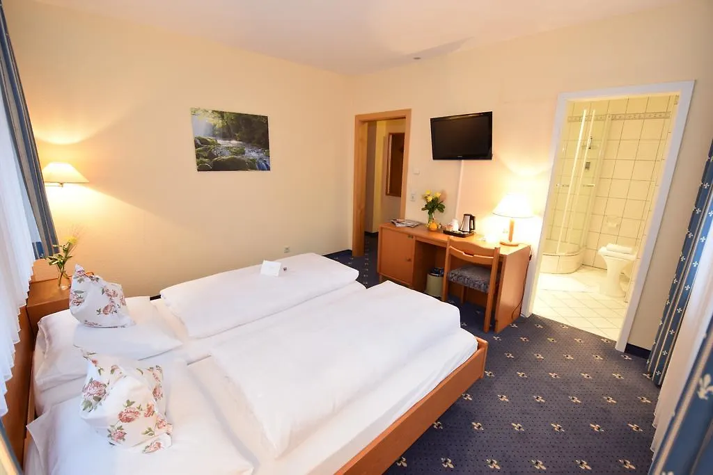 Alte Muehle Hotel & Restaurant Rodental